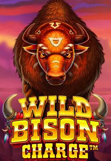 wild bison charge