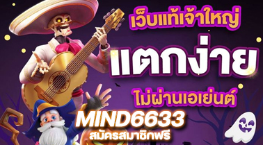 หน้าหลัก MIND6633